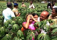 8 வழிச்சாலை திட்டத்திற்கு நிலத்தை கையகப்படுத்தியது செல்லாது என்று சென்னை உயா்நீதிமன்றம் அதிரடி சென்னை: சேலம் – சென்னை இடையே 8 வழிச்சாலை திட்டத்திற்கு நிலத்தை கையகப்படுத்துவதற்கு தமிழக அரசு அரசாணை பிறப்பித்திருந்தது. இந்த திட்டத்திற்கு தமிழக அரசு விவசாய நிலங்களை கைப்பற்றினார்கள் .இந்த திட்டத்திற்கு எதிராக சென்னை உயா்நீதிமன்றத்தில் விவசாயிகள், அரசியல் கட்சித் தலைவா்கள், நில உரிமையாளா்கள் என சுமாா் 50 போ் வழக்கு தொடர்ந்தார்கள். இந்த வழக்கில் இன்று தீா்ப்பு வழங்கப்பட்டுள்ளது , இந்த தீர்ப்பில் தமிழக அரசின் ஆணையை ரத்து செய்வதாக நீதிபதிகள் உத்தரவிட்டனா். மேலும் இந்த திட்டத்திற்காக கையகப்படுத்தப்பட்ட நிலங்களை உரிய உடைமையாளா்களிடமே ஒப்படைக்க வேண்டும் என்றும்,வருவாய் ஆவணங்களில் செய்யப்பட்ட மாற்றங்களை 8 வாரங்களில் சரி செய்து நிலங்கள் திரும்ப ஒப்படைக்கப்பட வேண்டும் என்று உத்திரவு விடப்பட்டுள்ளது. இந்த தீர்ப்பால் விவசாயிகள் மகிழ்ச்சி