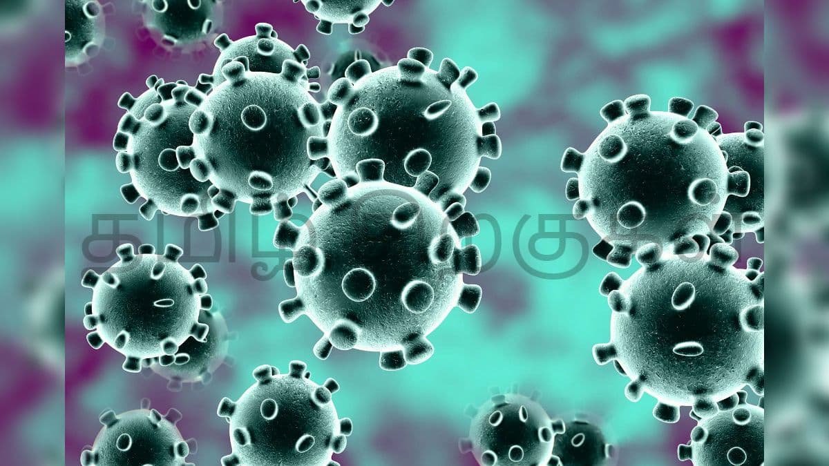 சென்னை: தமிழகத்தில் கடந்த செப்டம்பர் 1ம் தேதியில் இருந்து பெரிய அளவில் தளர்வுகள் அறிவிக்கப்பட்டு இருந்தது. இந்நிலையில் நேற்று முதல் தமிழகம் முழுவதும் அணைத்து மாவட்டங்களுக்கு இடையிலான பேருந்து போக்குவரத்து தொடங்கியுள்ளது. இதனால், தொற்று அதிகரிக்க வாய்ப்பு இருப்பதால் கட்டாயம் அனைவரும் மாஸ்க் அணிய வேண்டும் என்று எச்சரிக்கப்பட்டுள்ளது.