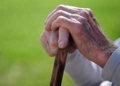 மூத்த குடிமக்கள் சட்டத்தில்", மோசமாக செயல்பட்ட டெல்லி அரசு, டிஎம், எஸ்டிஎம்களுக்கு தாமாக முன் வந்து நோட்டீஸ் அனுப்பியது : டெல்லி உயர் நீதிமன்றம்