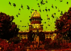 எம்பிபிஎஸ் படிப்பிற்கு 4 கிரேஸ் மதிப்பெண்கள் வழங்க வேண்டும் என சென்னை உயர்நீதிமன்றம் என்டிஏ-க்கு பிறப்பித்த உத்தரவுக்குத் தடை - உச்சநீதிமன்றம்