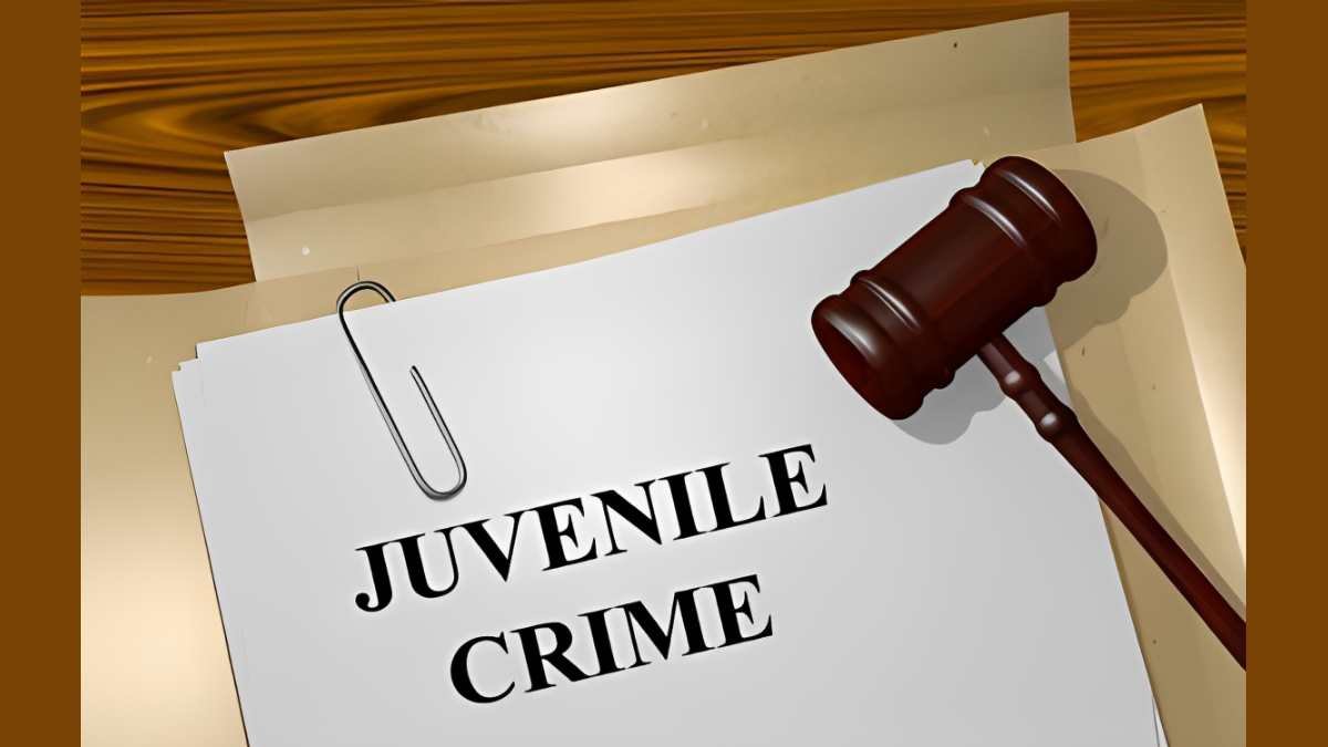 சென்னை காவல்துறை யின் பரவை திட்டம்: சிறார் குற்றவாளிகளுக்கு மறுவாழ்வு